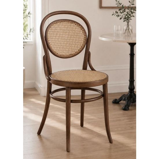 Vienna 50 Viennese chairs Progetto Sedia 1